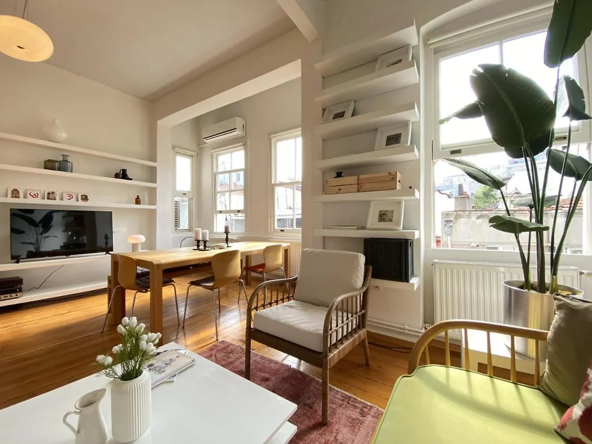 Distinguished Flat Near Istiklal Apartment Istanbul Turkey